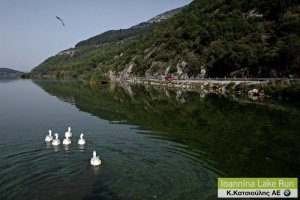 Ο 8ος Γύρος Λίμνης Ιωαννίνων 2014