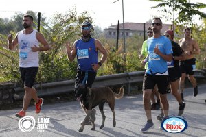 13ος Γύρος Λίμνης Ιωαννίνων - 30 χλμ. (Η διαδρομή)