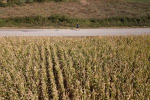 «Επανάσταση» του δρομικού κινήματος το Ioannina Lake Run