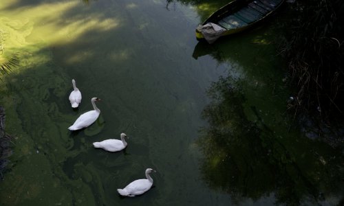 Pamvotida Lake